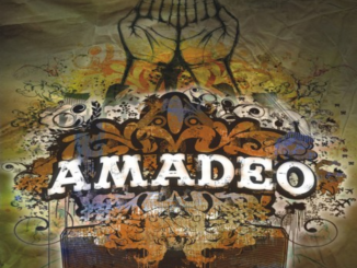 DOWNLOAD MP3: AMADEO – POLAND FLAG