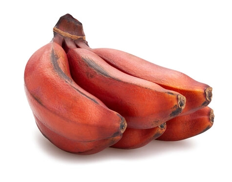 "Exploring the Health Advantages of Red Bananas: 7 Reasons to Include Them in Your Diet"