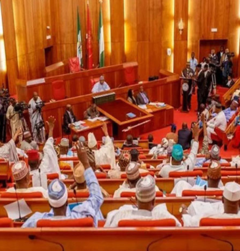 The Nigerian Senate has begun hearing arguments regarding an increase in electricity rates.