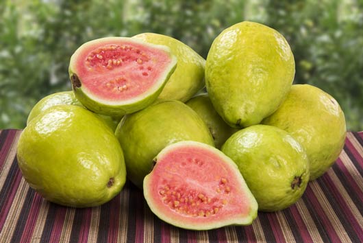 Guava Leaf Uses for Improving Fertility, Boosting Ovulation, and Treating Sick or Menstruation