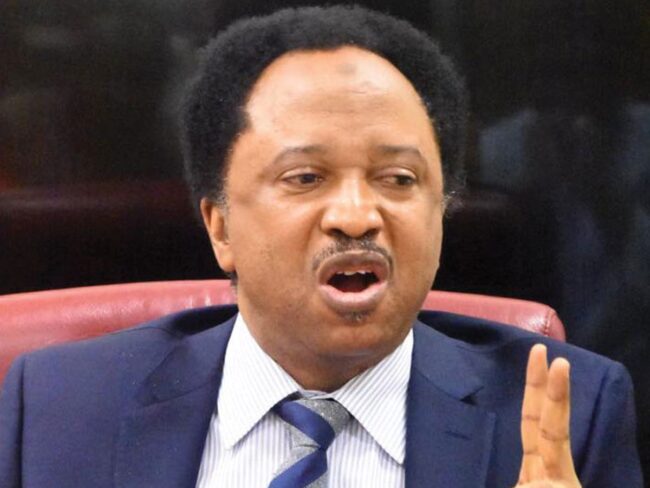 Buharists now orphans in APC – Shehu Sani