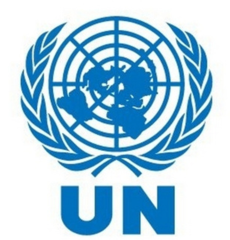 The United Nations states that Nigeria's progress is essential to Africa's growth.